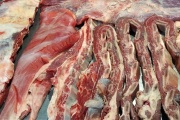 “Monstruoso” derrumbe de ventas en carnicerías: “Ni en 2001 se vio algo así”