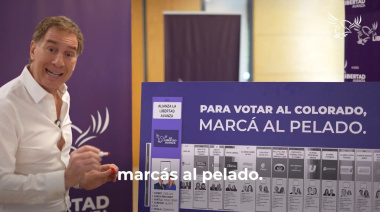 “Para votar al colorado, marcá al pelado”: El particular spot de Santilli sin nombrar a Espert