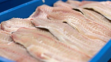 Recomendaciones para el consumo seguro de productos de la pesca