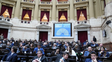 Diputados trata en simultáneo los dos vetos de Milei