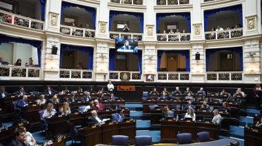 Diputados volvió al ruedo y aprobó la ley de los acompañantes terapéuticos