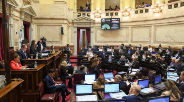 El Senado volteó los vetos al Financiamiento Universitario y la Ley Garrahan