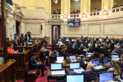 El Senado volteó los vetos al Financiamiento Universitario y la Ley Garrahan