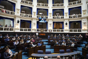 Diputados volvió al ruedo y aprobó la ley de los acompañantes terapéuticos