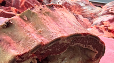 Aseguran que “cuando hay plata”, el consumidor prefiere la carne vacuna