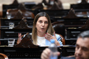 Interna a cielo abierto del PRO en plena sesión: Ritondo y Lospennato se cruzaron a los gritos