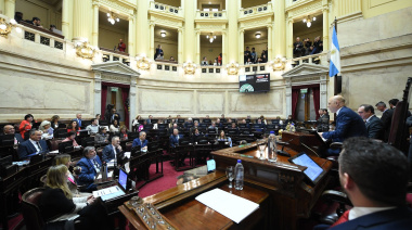 El Senado se apresta a rechazar el veto a la Ley de Emergencia en Discapacidad