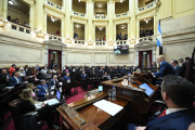 El Senado se apresta a rechazar el veto a la Ley de Emergencia en Discapacidad