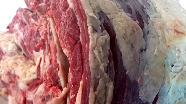 Los ganaderos advierten por el precio de la carne: “Se va a disparar”