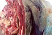Los ganaderos advierten por el precio de la carne: “Se va a disparar”
