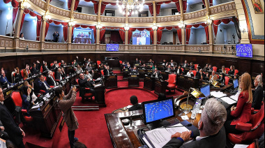 Magario desempató la votación y el Senado dio media sanción a las reelecciones indefinidas