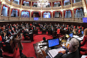 Magario desempató la votación y el Senado dio media sanción a las reelecciones indefinidas