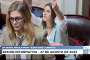 Lemoine y Pagano se cruzaron a los gritos en Diputados y la oposición pidió “llamar al Borda”