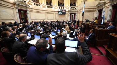 Milei condenó “el cinismo del Senado”
