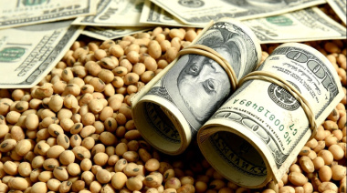 Retenciones cero: El massismo habla de un “nuevo dólar soja” y pronostica “más timba”