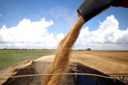 CARBAP tiró la bronca: “Ningún beneficio para los productores, un negocio para exportadores”