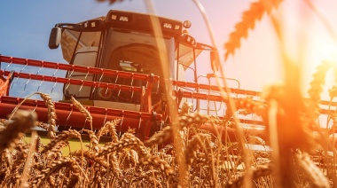 El trigo lidera subas y ventas en el mercado de granos