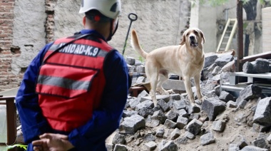 Zeus al rescate: el perro superhéroe que busca, nada y vuela ante una emergencia