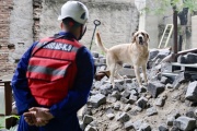 Zeus al rescate: el perro superhéroe que busca, nada y vuela ante una emergencia