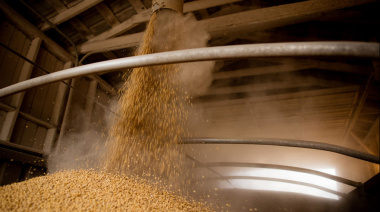 Por la quita de retenciones, la recaudación cayó un 9 % en septiembre