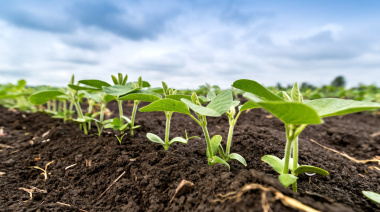 El ánimo del campo refleja cautela en un clima político decisivo
