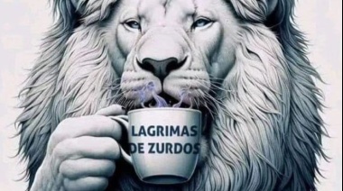 Milei, despectivo con la marcha por las universidades: “Lágrimas de zurdos”