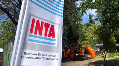 INTA arrasado: “Destruyen instituciones e institucionalidad con argumentos falaces”