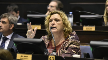 Diputada opositora advirtió que el veto “es un retroceso en materia de ampliación de derechos”