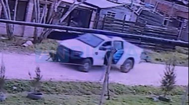 Patrullero pasó por arriba a un perrito acostado en la calle en Alejandro Korn