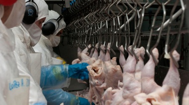 Se reanudó la exportación de productos aviares argentinos a Japón