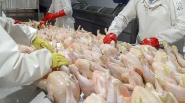 Argentina logró la reapertura del mercado de productos avícolas del Reino Unido