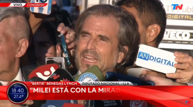 Interrumpieron a Benegas Lynch en plena entrevista: “Son una manga de psicópatas”