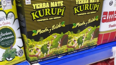 Yerba mate: récord de exportaciones e importaciones en descenso