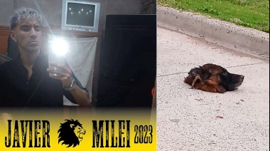 Olavarría: joven libertario asesinó a un perro, lo decapitó y dejó su cabeza en la calle