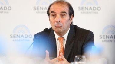 García Mansilla denunció “errores y tergiversaciones” del Senado