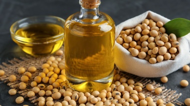 El aceite podría ser la clave para entender la firmeza y la volatilidad de la soja