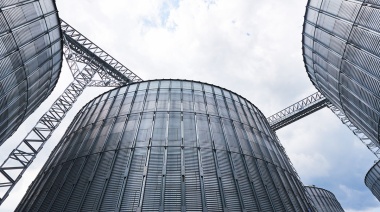 Soja: 12 millones de toneladas en poder del productor, a poco de dar inicio a la nueva campaña