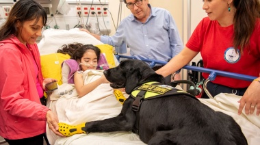 Puro amor: perra adiestrada para terapias asistidas visitó a niños internados en el Hospital Garrahan