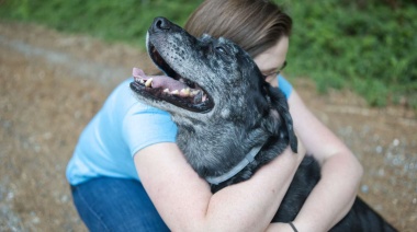 Un homenaje para nuestros amigos peludos: amor y compañía emocional