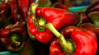 Del campo a la góndola, los precios de los agroalimentos se multiplicaron por 3,2 en agosto