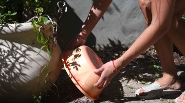 Dengue: piden acentuar el descacharreo domiciliario ante las intensas lluvias