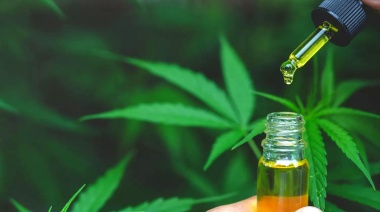 Funcionamiento del Reprocann: “Adorni ni siquiera estaba al tanto de qué estaba hablando”