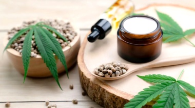 La Provincia presentó el Programa de Cannabis Terapéutico