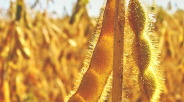 Desde Coninagro hablan de productores “asfixiados”