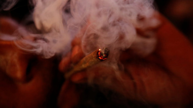 Marihuana o tabaco: ¿Cuál humo es más tóxico?