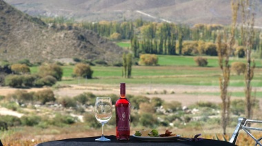 Bodega Puna se luce con nuevas añadas de altura máxima