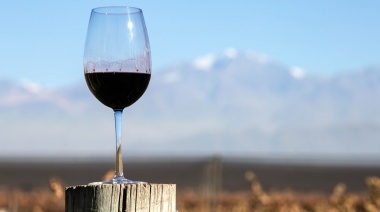 Se vienen las Jornadas Nacionales de Turismo del Vino