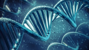 Los genes hablan de nuestro pasado y de nuestro futuro