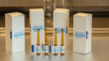 El INTI desarrolló un patrón clave para la industria del cannabis