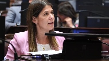 Tagliaferri: “Si el kirchnerismo se rasga las vestiduras por Kueider, que apruebe Ficha Limpia”